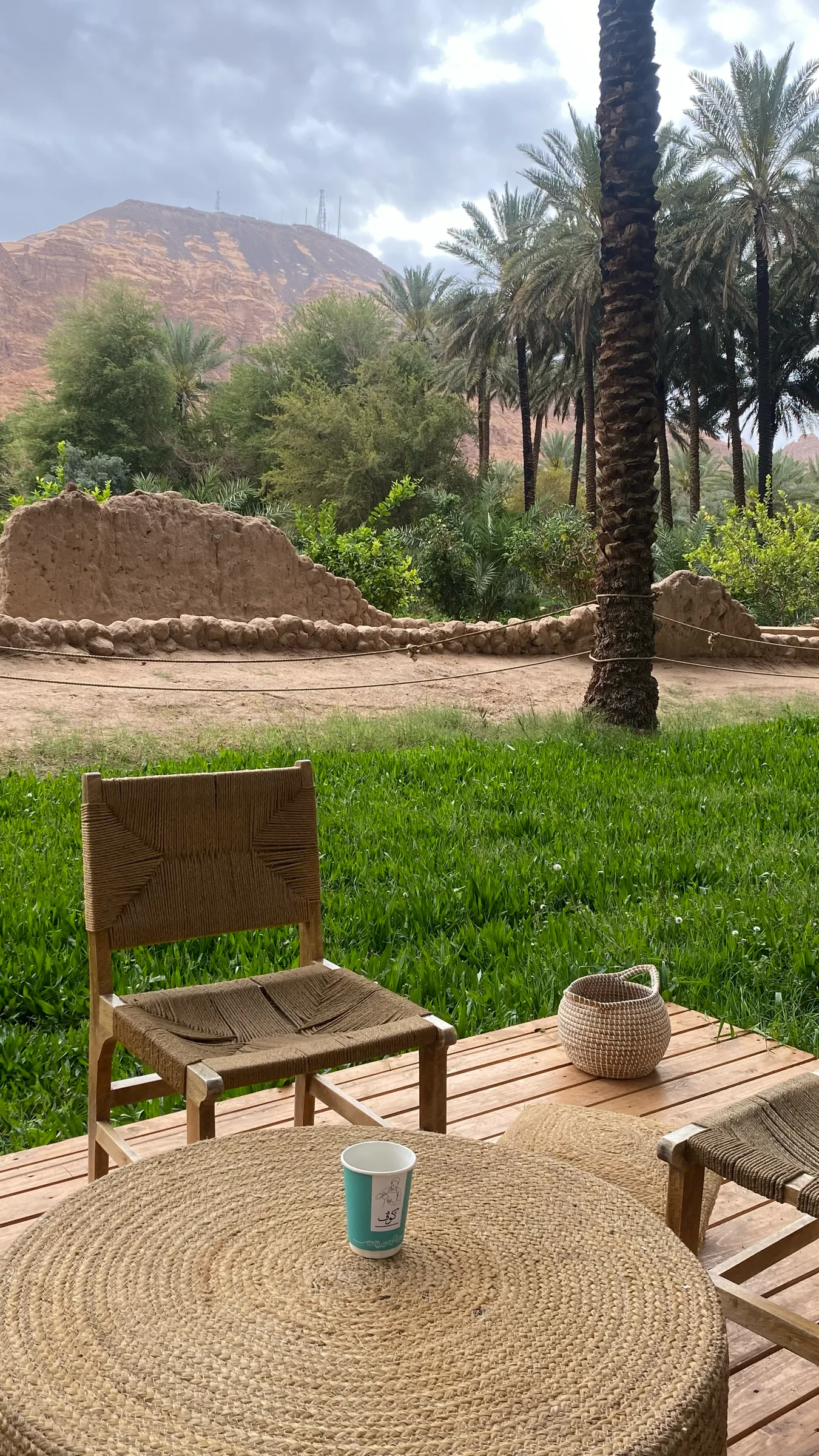 العلا على طريقتك-منتج اختباري — صورة 6 من 7